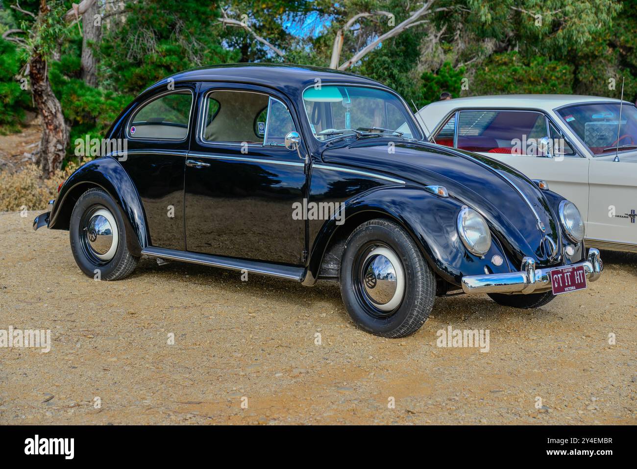Coccinelle Volkswagen de 1961 construite en Australie, en noir, photographiée en Victoria, Australie Banque D'Images