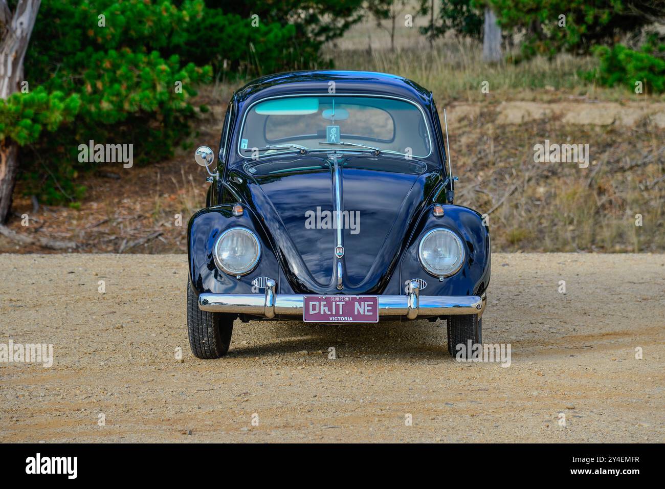 Coccinelle Volkswagen de 1961 construite en Australie, en noir, photographiée en Victoria, Australie Banque D'Images