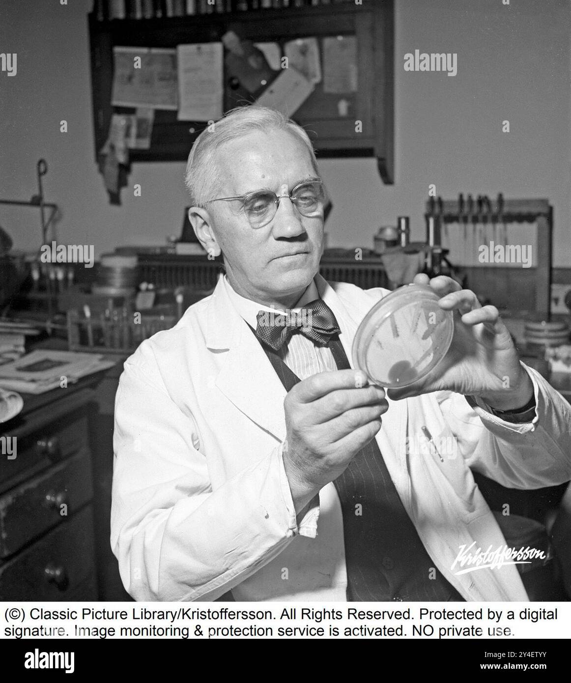 Sir Alexander Fleming 1945. 6 août 1881 - 11 mars 1955, médecin et microbiologiste écossais, mieux connu pour avoir découvert la première substance antibiotique largement efficace au monde, qu'il a nommée pénicilline. Sa découverte en 1928 de ce qui a été plus tard appelé benzylpénicilline (ou pénicilline G) à partir de la moisissure Penicillium rubens a été décrite comme la « plus grande victoire jamais atteinte sur la maladie ». Pour cette découverte, il partage le prix Nobel de physiologie ou médecine en 1945 avec Howard Florey et Ernst Boris Chain. Photographié à l'automne 1945 dans son laboratoire à l'hôpital St Mary i. Banque D'Images