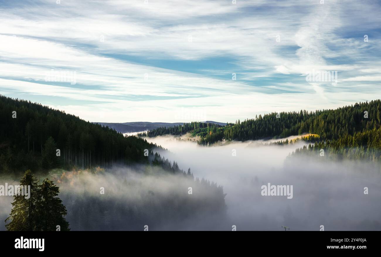 Paysage automnal dans la Forêt Noire. Nature le matin avec des nuages bas couchés dans la vallée. Banque D'Images