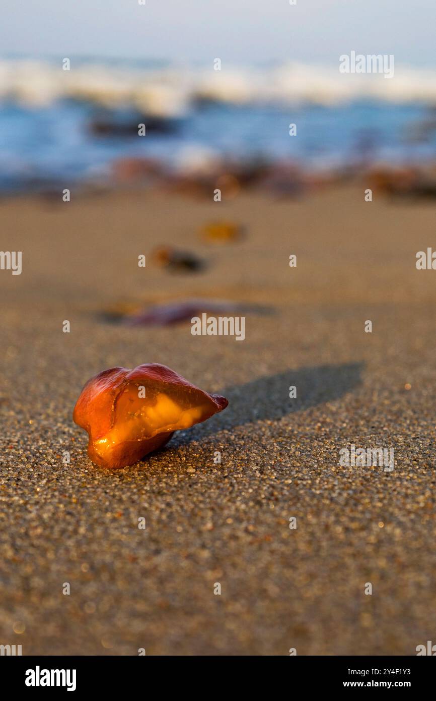 Un beau morceau d'ambre se trouve sur le sable chaud de la plage, scintillant au soleil et complétant la vue pittoresque Banque D'Images Un beau morceau d'ambre se trouve sur le sable chaud de la plage, scintillant au soleil et complétant la vue pittoresque Banque D'Images