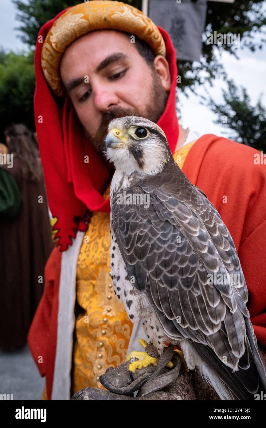 Falconer avec son oiseau de proie à la Fête des remparts dans la ville médiévale de Dinan dans la région des côtes-d Armor en Bretagne le 22 juillet 202 Banque D'Images