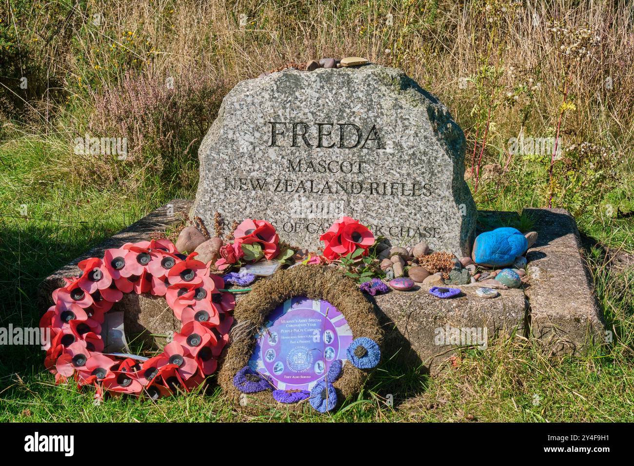 Freda's Memorial, mascotte du New Zealand Rifle Regiment, Cannock Chase, Staffordshire Banque D'Images