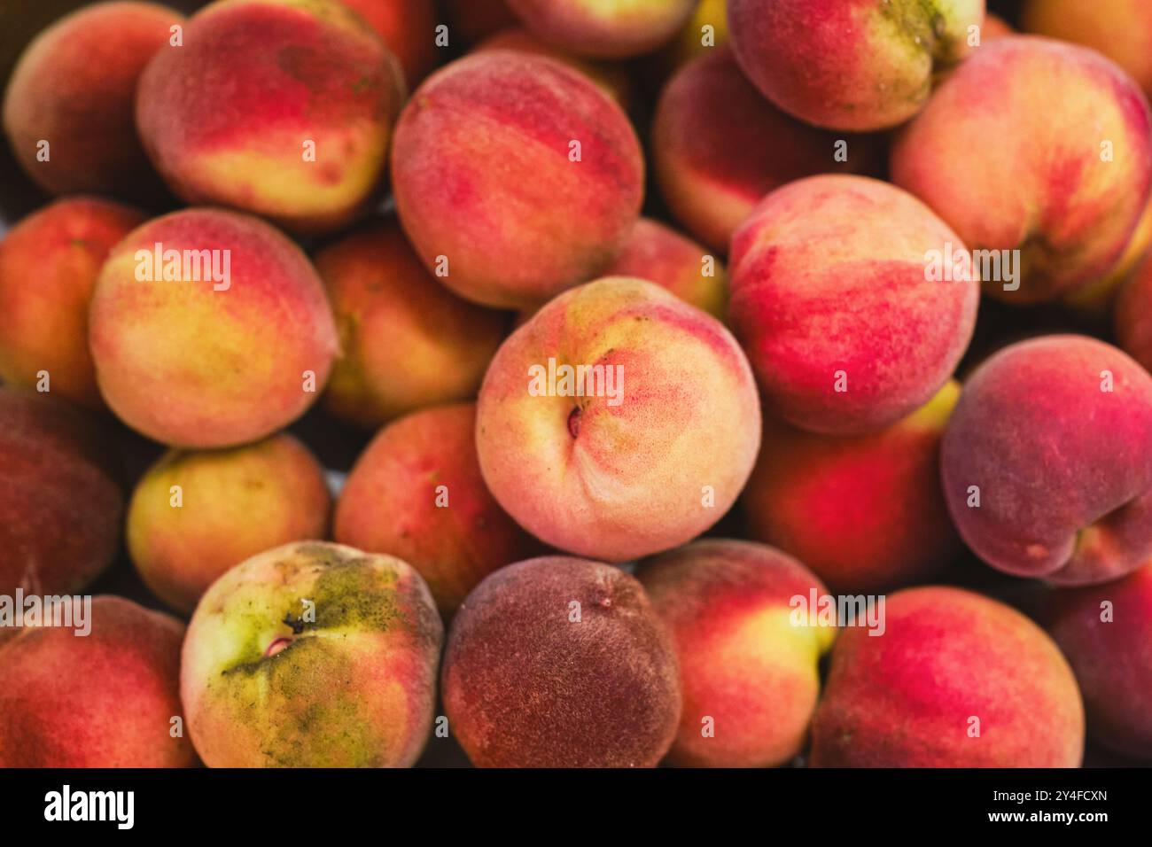 Pêches juteuses dans le panier, à plat sur des fruits fraîchement cueillis, jardinage Banque D'Images