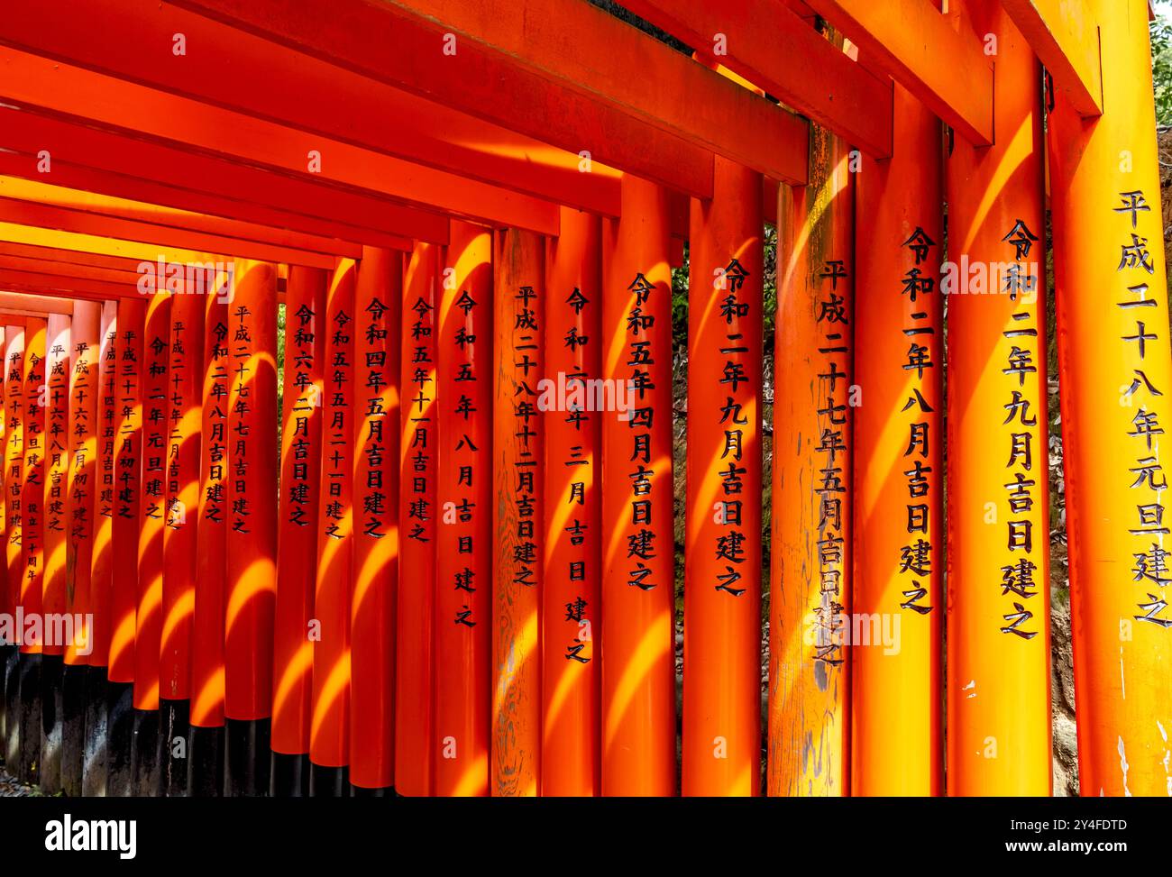 Portes Torii, sanctuaire Fushimi Inari-Taisha, Kyoto, Japon Banque D'Images