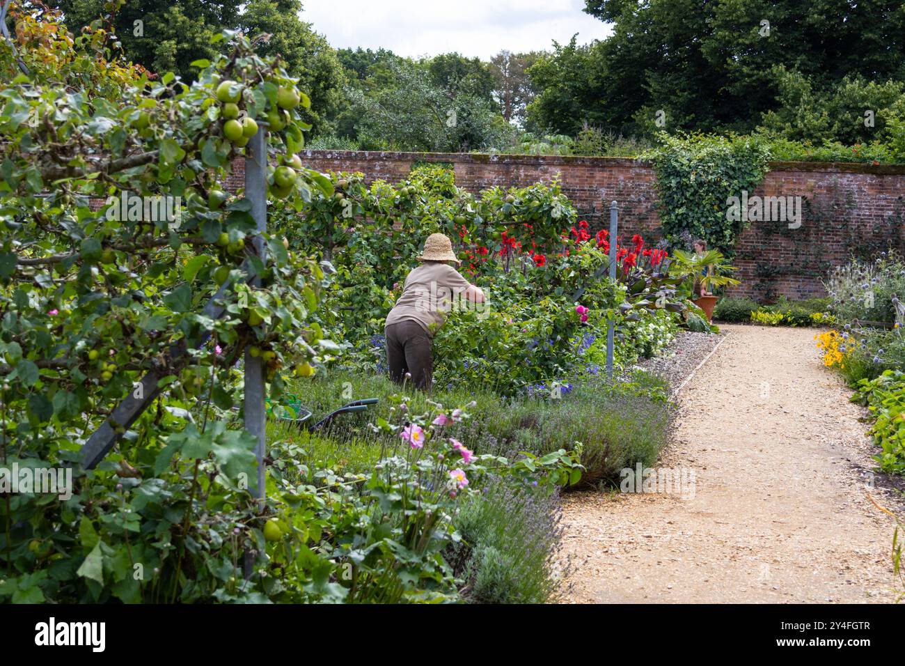 Osbourne House Garden assisté par un jardinier bénévole, île de Wight, royaume-uni Banque D'Images