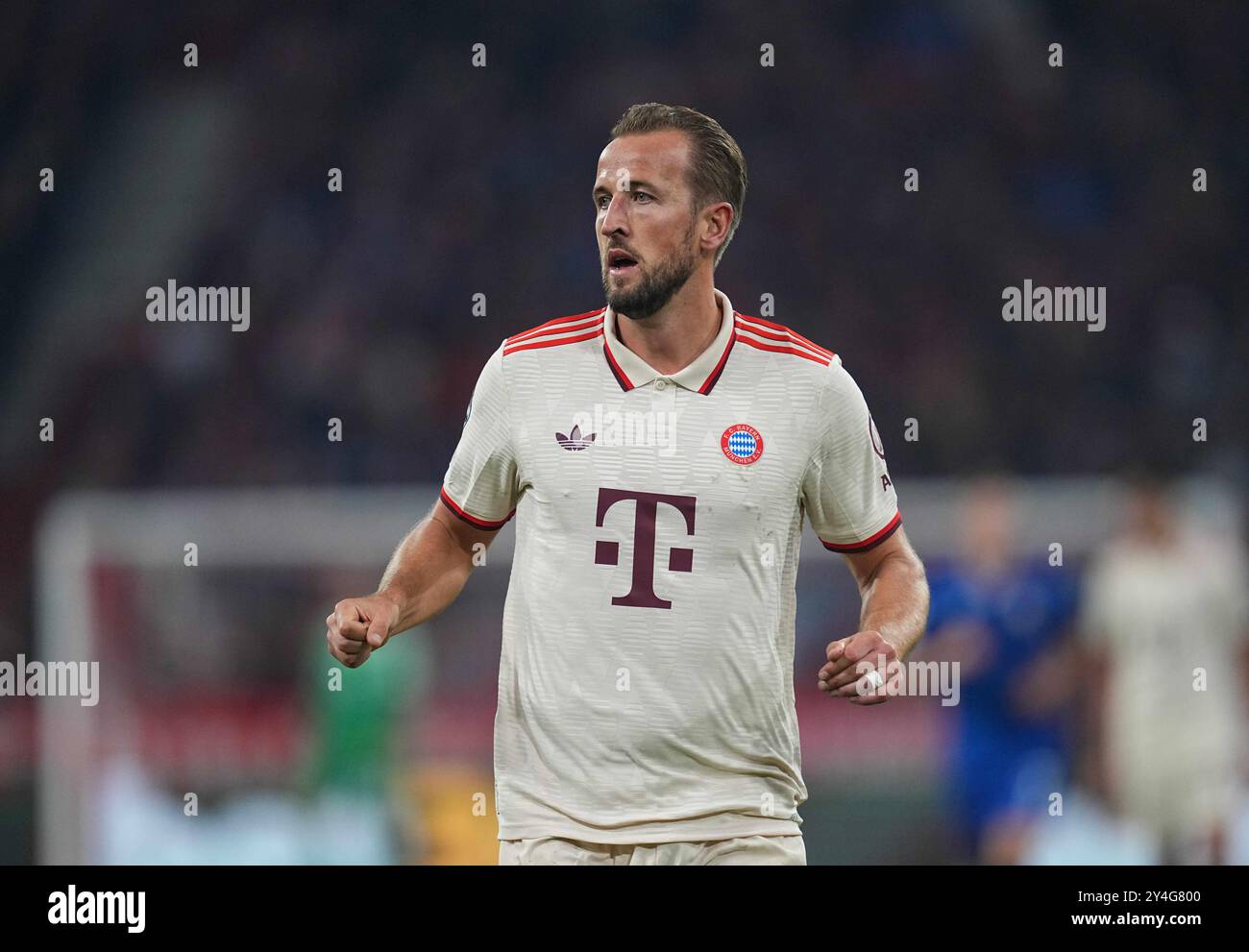 Allianz Areana, Munich, Allemagne. 17 septembre 2024. Harry Kane du Bayern Munich regarde lors d'un match de la première ronde de la Ligue des Champions, Bayern Munich contre GNK Dinamo, à Allianz Areana, Munich, Allemagne. Ulrik Pedersen/CSM/Alamy Live News Banque D'Images