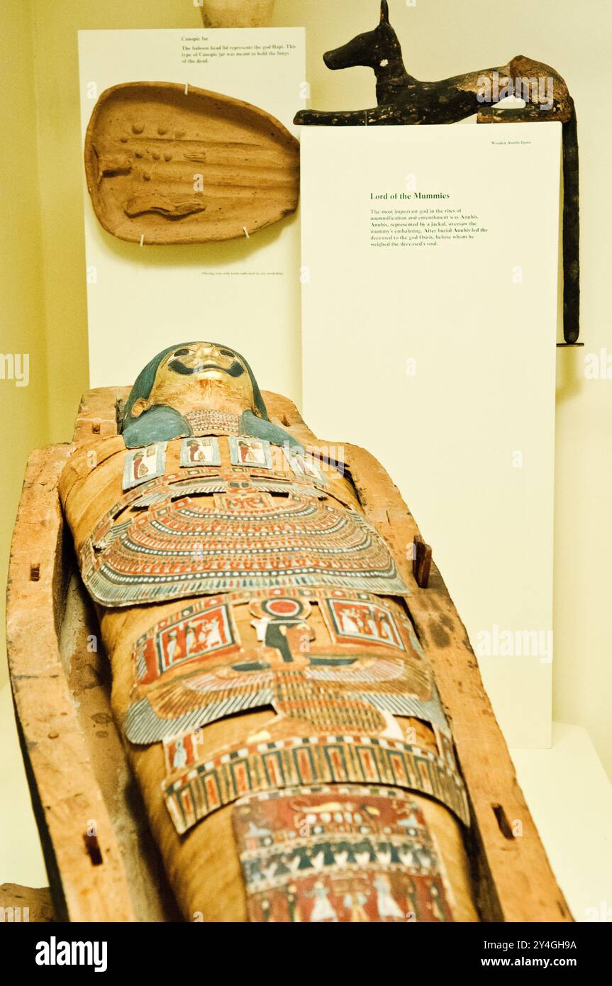 Musée national d'histoire naturelle de la momie égyptienne Washington DC // WASHINGTON DC, États-Unis — une momie égyptienne antique est exposée au musée national d'histoire naturelle de la Smithsonian institution à Washington DC. Le musée abrite l'une des collections les plus importantes d'artefacts égyptiens aux États-Unis, y compris des momies, des sarcophages et des objets funéraires datant de milliers d'années. Le Musée national d'histoire naturelle, créé en 1910, est l'un des musées d'histoire naturelle les plus visités au monde et fait partie du complexe plus vaste de la Smithsonian institution sur le Nat Banque D'Images