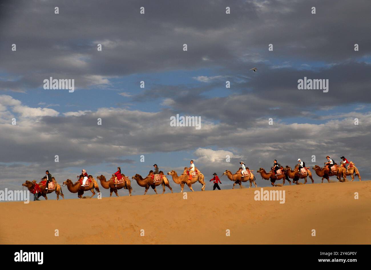 (240918) -- PÉKIN, 18 septembre 2024 (Xinhua) -- les touristes montent à dos de chameau au lac Mingshashan et Crescent, un endroit pittoresque oasis dans le désert de Gobi, à Dunhuang, dans la province du Gansu, au nord-ouest de la Chine, 16 septembre 2024. Quelque 629,56 millions de voyages de passagers ont été gérés par les secteurs des transports chinois pendant les trois jours de vacances pour le Festival de la mi-automne, en hausse de 31,1 pour cent par an, les données du ministère des Transports ont montré mercredi. Sur ce total, la Chine a enregistré 42,57 millions de voyages de passagers par chemin de fer, 1,98 millions par eau et 5,07 millions par avion. Le trafic routier a pris la part du lion, Banque D'Images