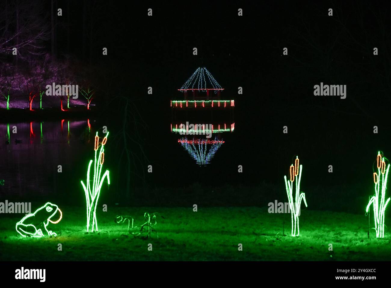 Promenade hivernale des lumières jardins botaniques de Meadowlark Vienne Virginie // VIENNE, Virginie — la promenade hivernale des lumières des jardins botaniques de Meadowlark transforme les allées du jardin en un pays des merveilles illuminé d'expositions de vacances. Cette exposition saisonnière présente des installations lumineuses créatives qui mettent en valeur les caractéristiques naturelles du jardin tout en créant des scènes festives de vacances. Banque D'Images
