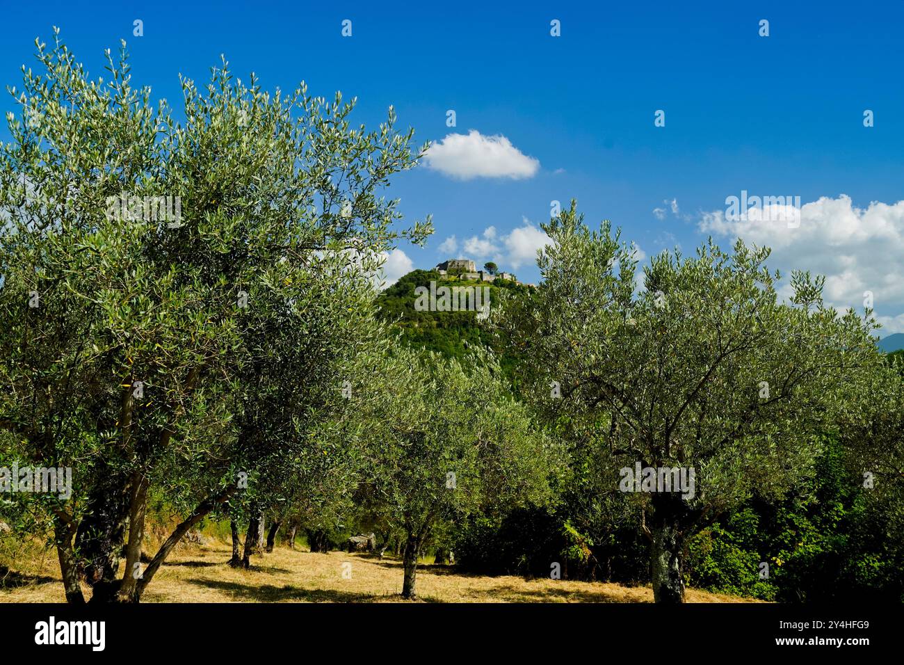 Château de Vicalvi, panorama, Frosinone, Latium, Italie Banque D'Images