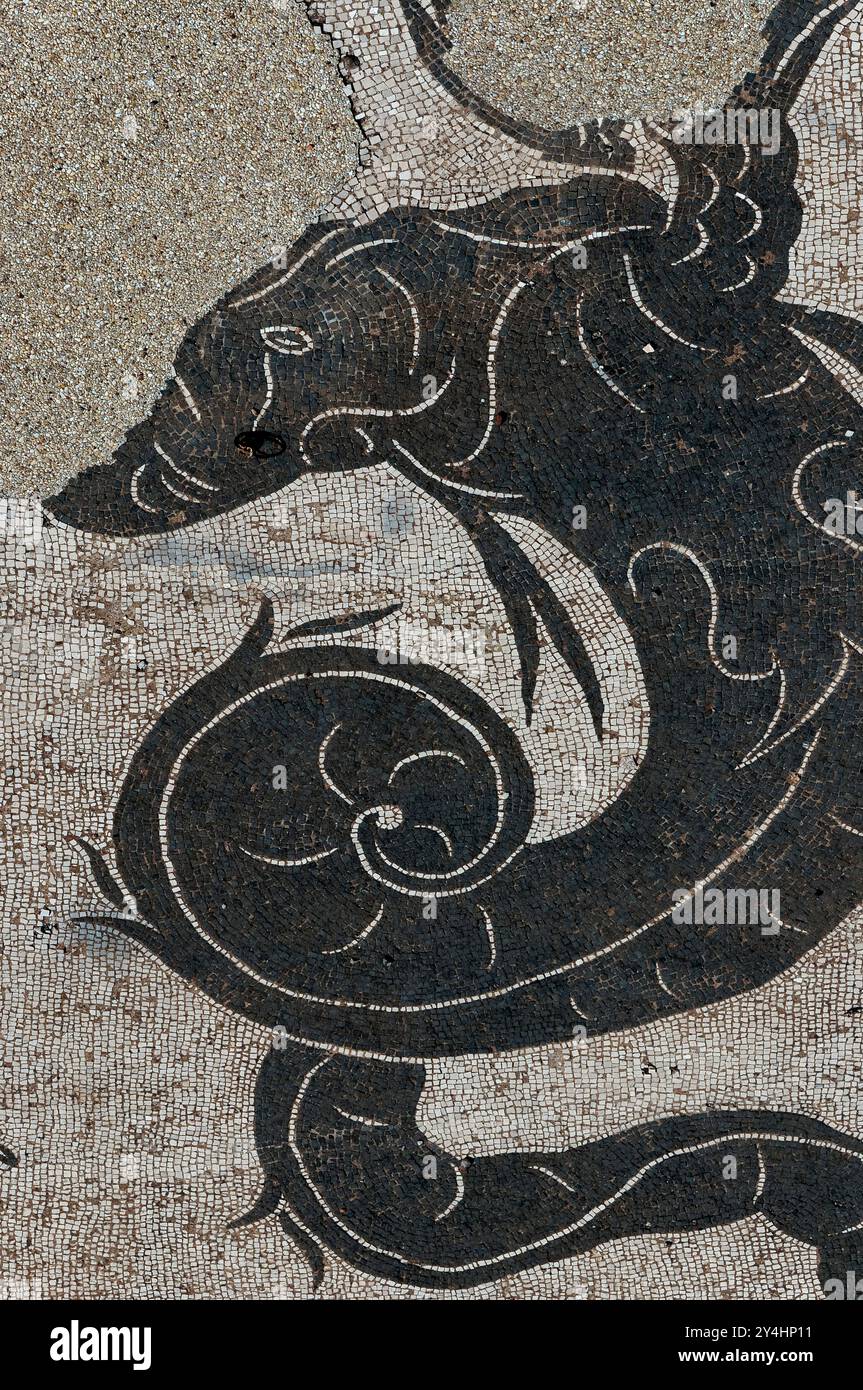 Monstre marin. Détail de la mosaïque amphitrite dans le terme di Nettuno (Thermes de Neptune) à Ostia Antica, Italie. Banque D'Images