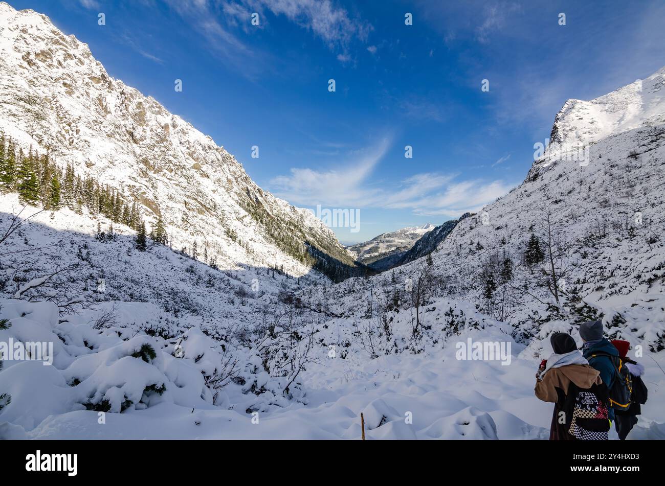 Couple appréciant la vue sur la montagne debout en Pologne, les gens en vacances pendant la saison d'hiver regardant l'horizon. 2024 Banque D'Images