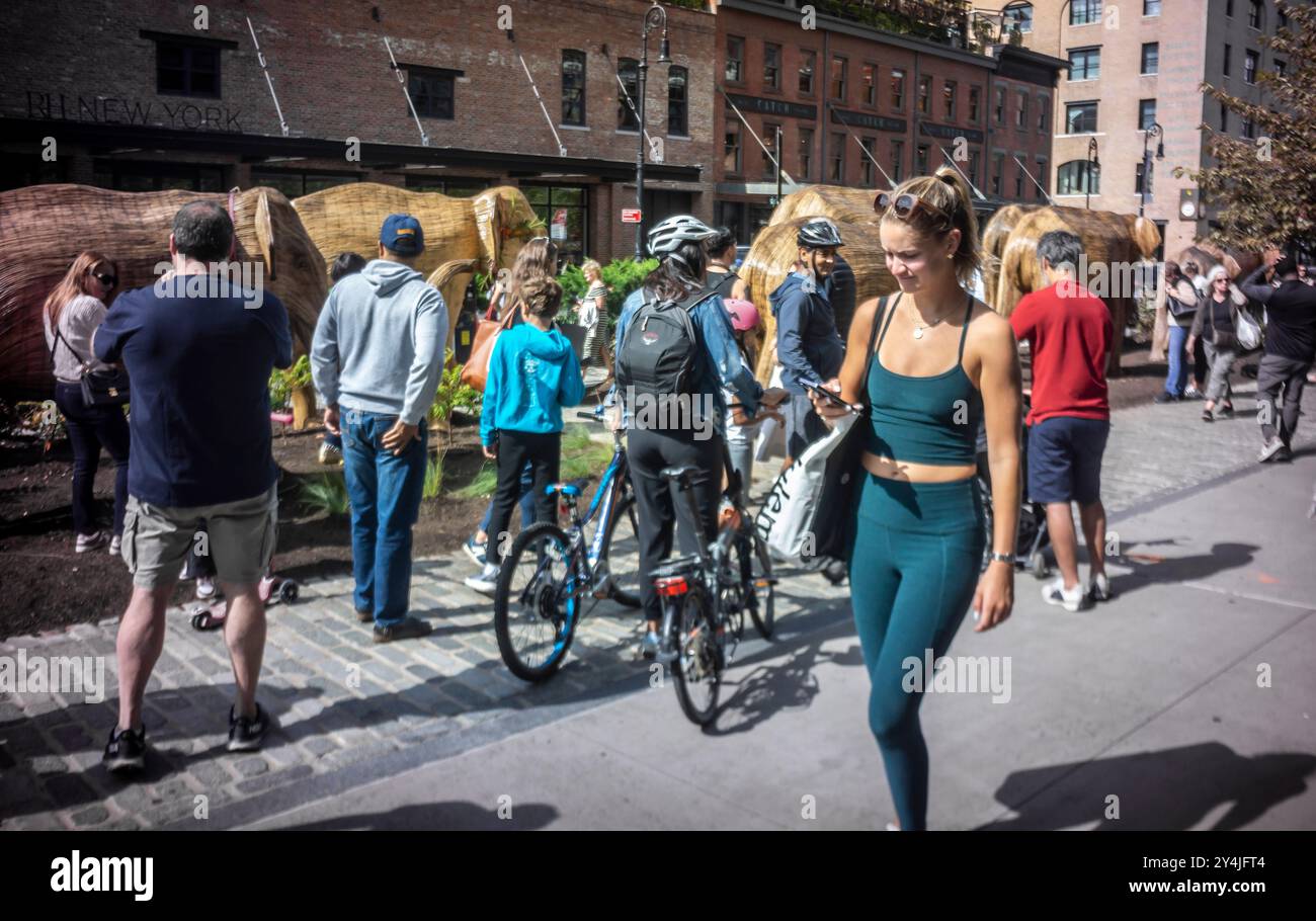 Les gens sont impressionnés par l’installation d’art public Great Elephant migration dans le Meatpacking District de New York le dimanche 8 septembre 2024. Les 100 statues ont été créées par le collectif coexistence dont la mission aide les gens à partager l'espace avec des créatures magnifiques. Les éléphants ont été construits par des artisans indigènes indiens à partir du Lantana Camara, une espèce végétale envahissante. L'installation sera exposée jusqu'au 20 octobre. (© Richard B. Levine) Banque D'Images