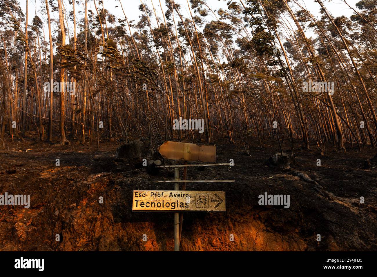 Panneau de signalisation brûlé vu après les feux de forêt dans le district d'Aveiro. Le premier ministre a annoncé, ce mardi, l'élévation à l'état de calamité dans toutes les municipalités touchées par les incendies. Banque D'Images