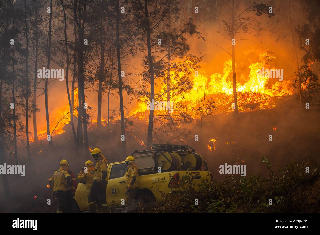 Les pompiers ont Uni leurs forces pour combattre un feu de forêt à Ribeira de Fráguas près de Sever do Vouga. Le premier ministre a annoncé, ce mardi, l'élévation à l'état de calamité dans toutes les municipalités touchées par les incendies. (Photo de Diogo Baptista/SOPA images/SIPA USA) crédit : SIPA USA/Alamy Live News Banque D'Images