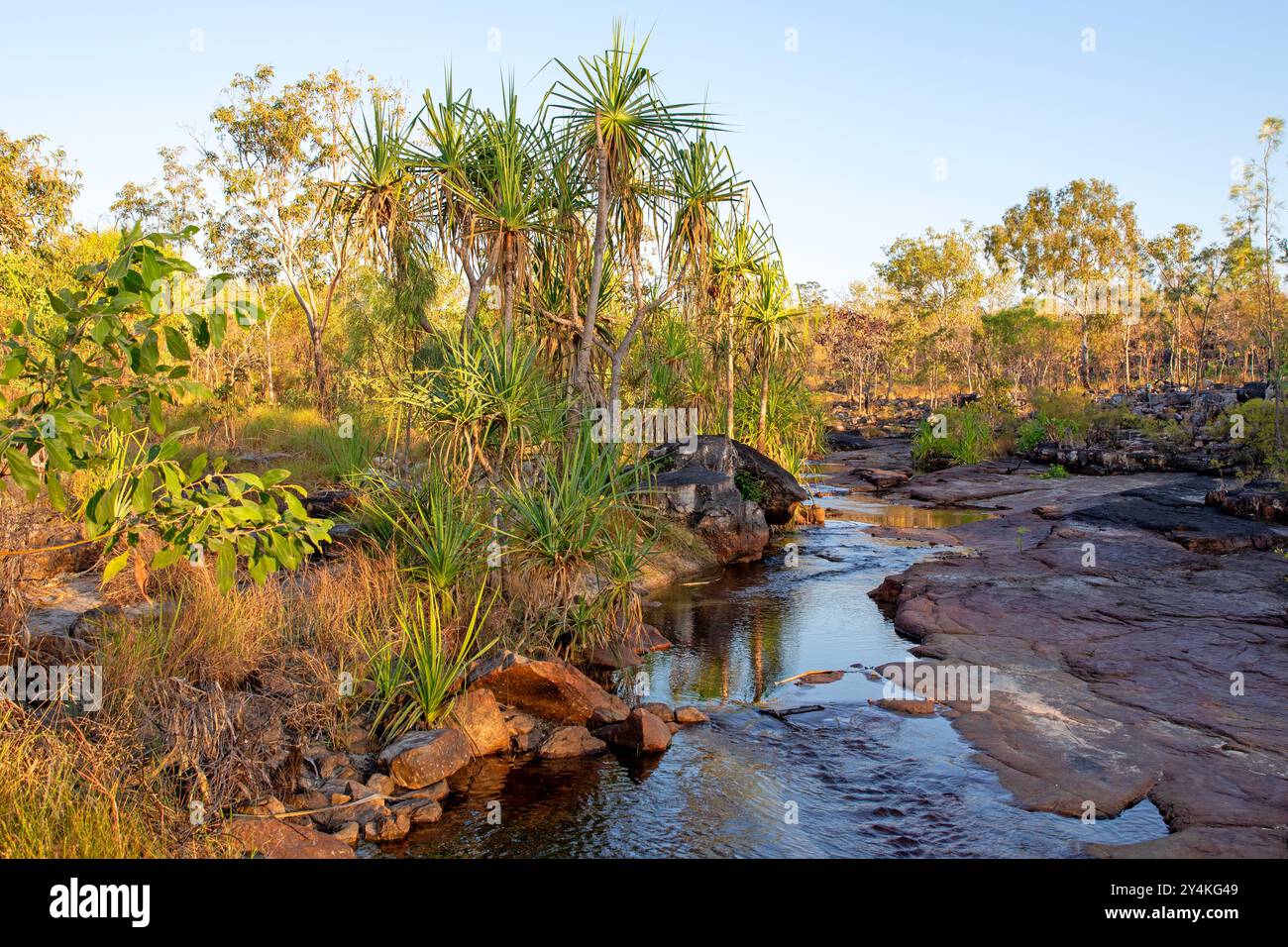 Ruisseau au sommet du plateau dans le parc national de Litchfield Banque D'Images