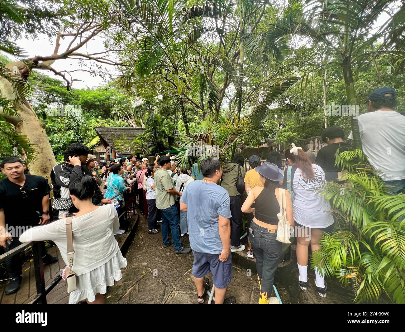 Bang Phra, Thaïlande. 18 septembre 2024. De nombreux visiteurs tentent d'apercevoir l'hippopotame pygmée Moo Deng, âgé de deux mois, au zoo ouvert de Khao Kheow. La fille hippopotame mignonne est devenue une sensation d'Internet en Thaïlande et dans d'autres pays asiatiques en raison de ses visages drôles. Le nombre de visiteurs du zoo a doublé depuis sa naissance en juillet. Crédit : Carola Frentzen/dpa/Alamy Live News Banque D'Images