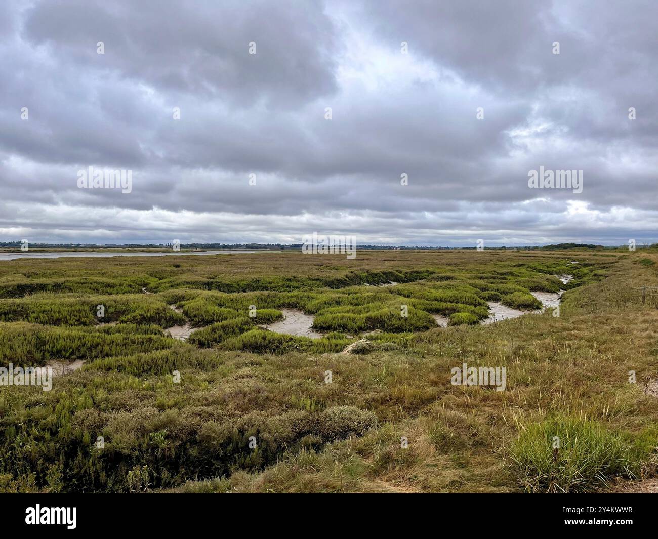 Photo inédite du marais salé à Abbotts Hall dans l'Essex. Les défenseurs de l'environnement mettent en garde contre la nécessité d'agir pour protéger et restaurer les marais salants, dans le cadre des efforts visant à stocker le carbone et à faire face à la crise climatique et naturelle. Alors qu'un rapport unique en son genre a souligné que la grande majorité du carbone stocké dans les mers du Royaume-Uni se trouve dans les sédiments des fonds marins, il a également montré le rôle des habitats côtiers tels que les marais salants dans le stockage du carbone. Date d'émission : jeudi 19 septembre 2024. Banque D'Images
