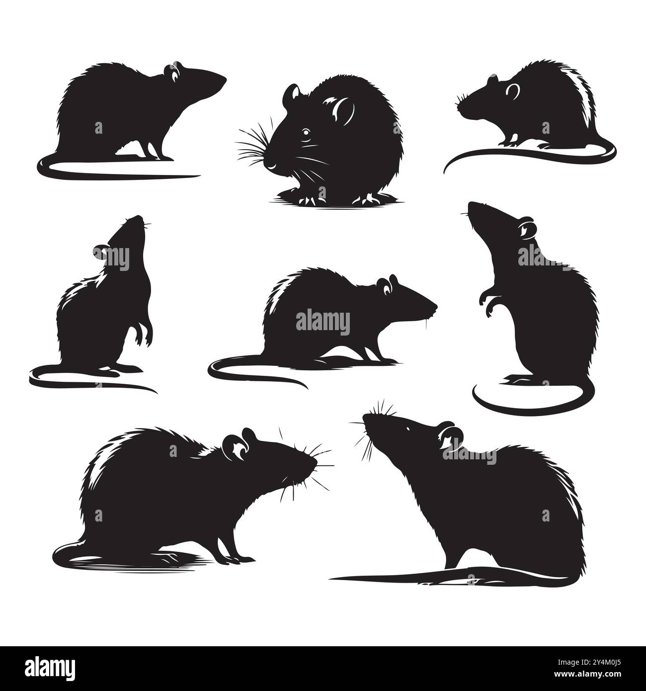 Ensemble de vecteur silhouette de rat sur un fond blanc Illustration de Vecteur