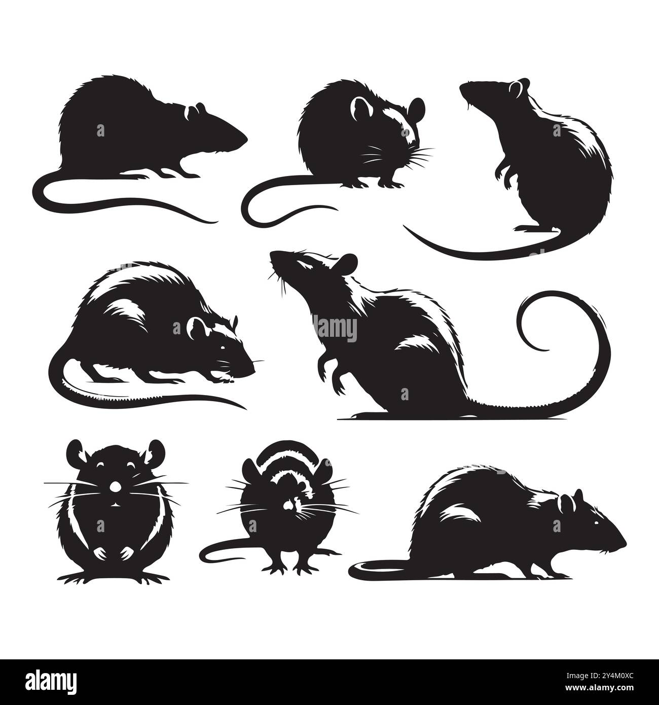 Ensemble de vecteur silhouette de rat sur un fond blanc Illustration de Vecteur