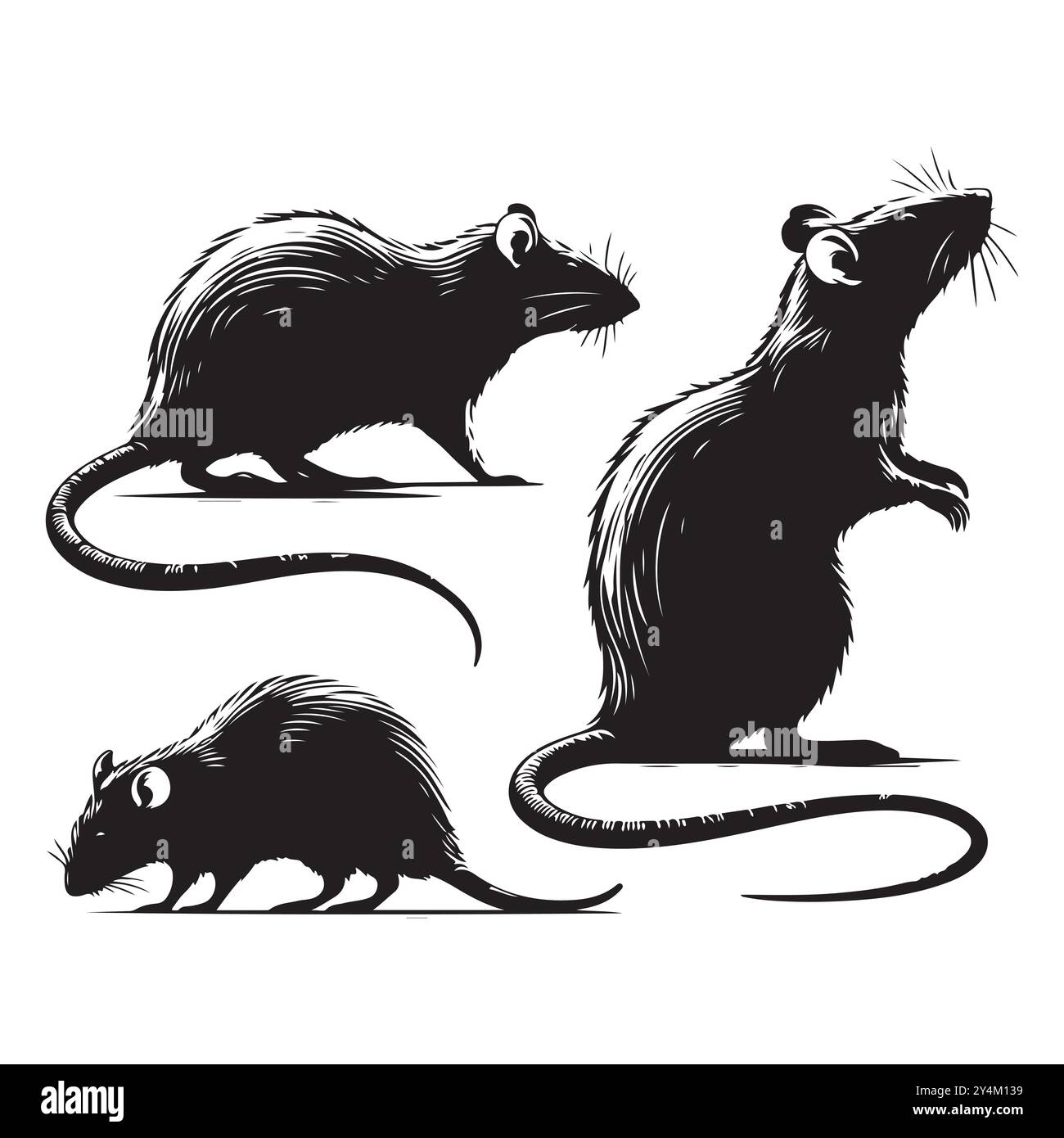Ensemble de vecteur silhouette de rat sur un fond blanc Illustration de Vecteur