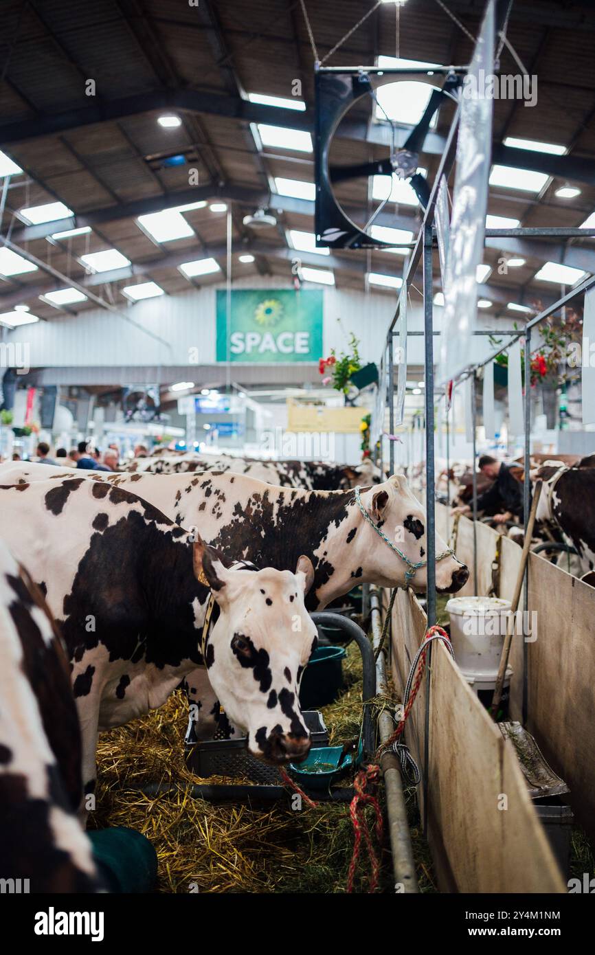 Rennes, France. 18 septembre 2024. Image illustrative de SPACE 2024, le salon international agricole le 18 septembre 2024 au parc des expositions de Rennes St-Jacques. Photo de Billioux Yannick/ABACAPRESS. COM Credit : Abaca Press/Alamy Live News Banque D'Images