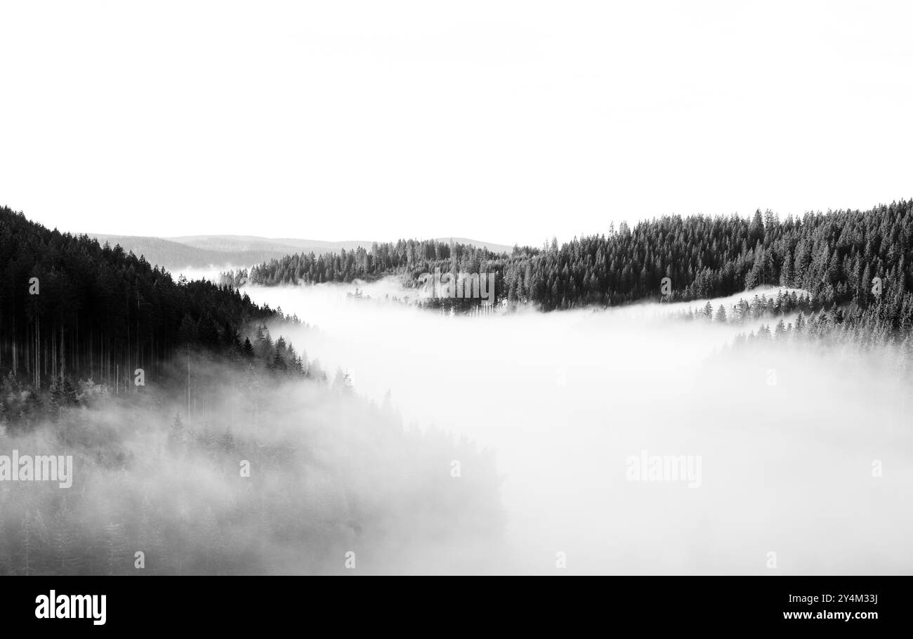 Paysage automnal dans la Forêt Noire. Nature le matin avec des nuages bas couchés dans la vallée. Banque D'Images