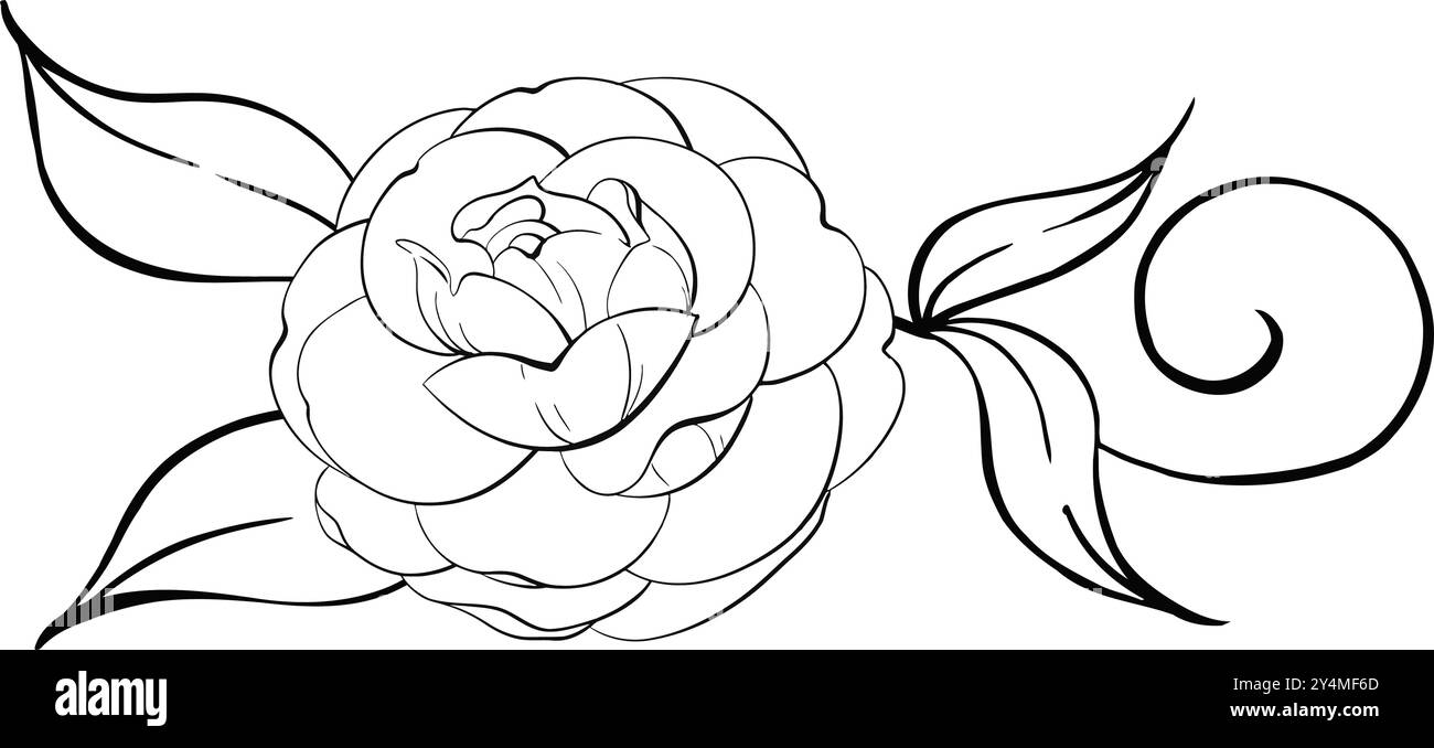 Arrangement de roses. Motif de fleur de printemps romantique avec des feuilles, style vintage. Ligne vectorielle graphique, dessinée à la main, silhouette noire pour Cricut. Pour Illustration de Vecteur
