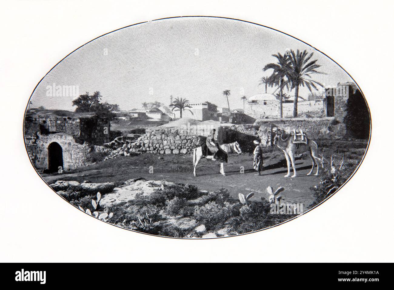 Photographie historique du XIXe siècle de Lydda dans l'ancienne Bible familiale nationale complète du XIXe siècle (Bible familiale illustrée) Banque D'Images