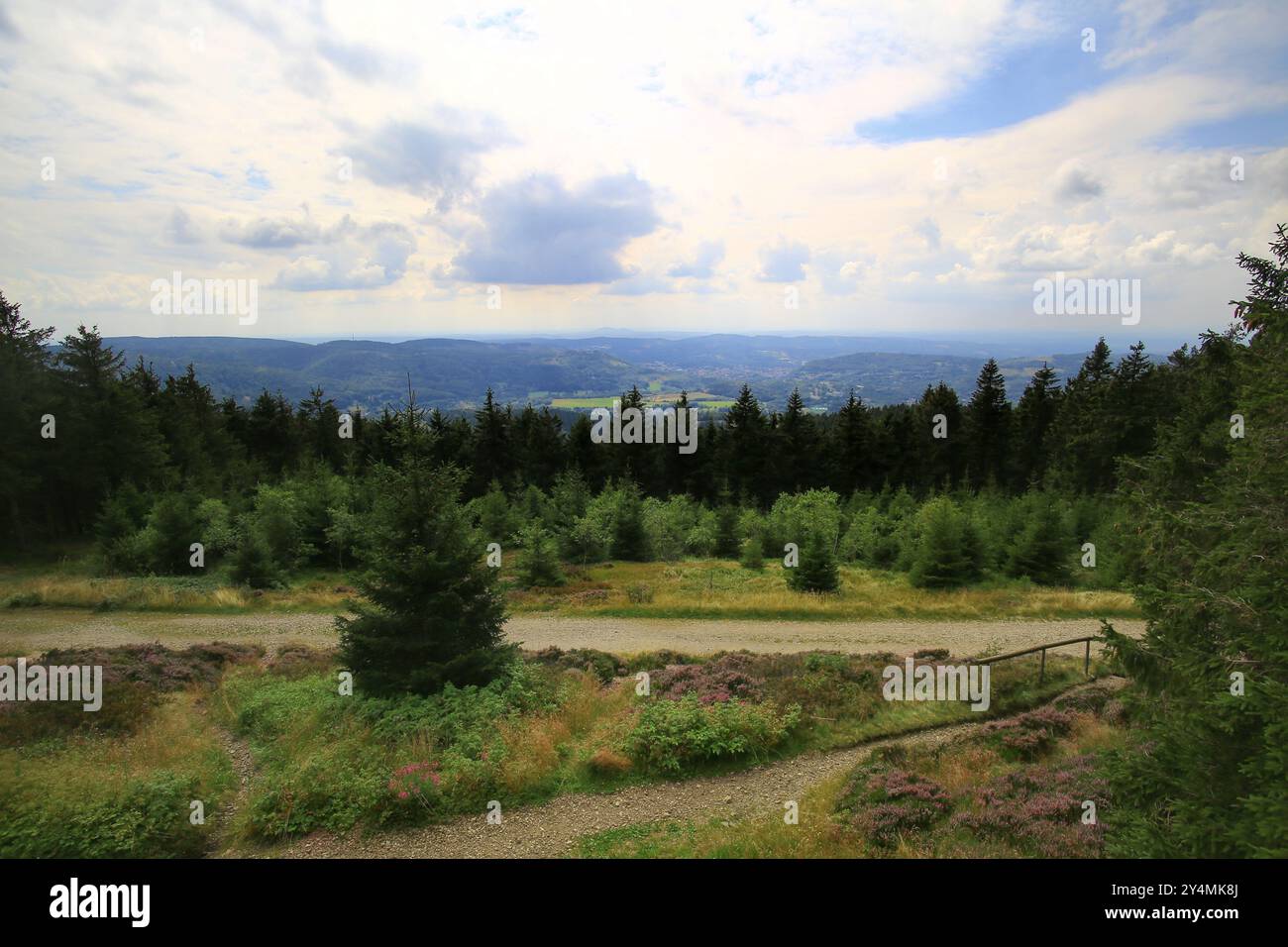 Panorama de montagne avec des vues panoramiques, des horizons lointains et un environnement naturel paisible dans la forêt de Thuringe. Banque D'Images