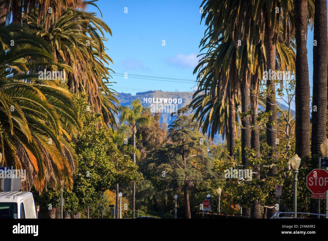 Vue panoramique du célèbre panneau Hollywood à Los Angeles, Californie, États-Unis à travers des palmiers contre le ciel bleu Banque D'Images