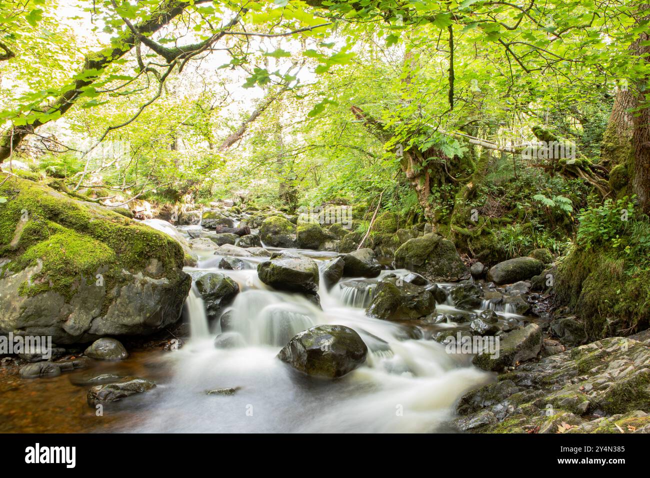 Piscines peu profondes au milieu des rochers au fond de la cascade Aira Force. Banque D'Images