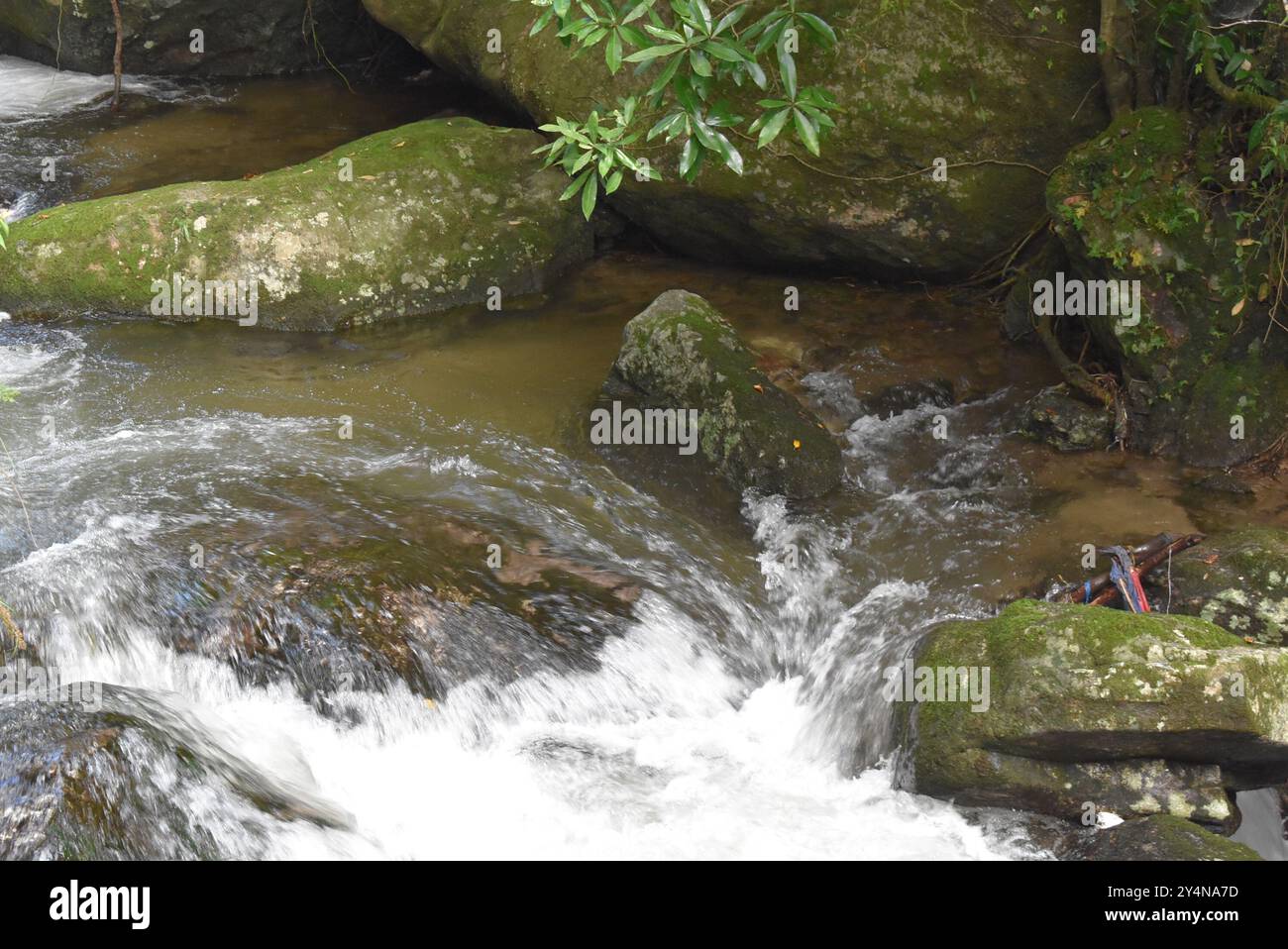 Sundarijal et Chisapani : un voyage à travers la nature et le patrimoine Banque D'Images