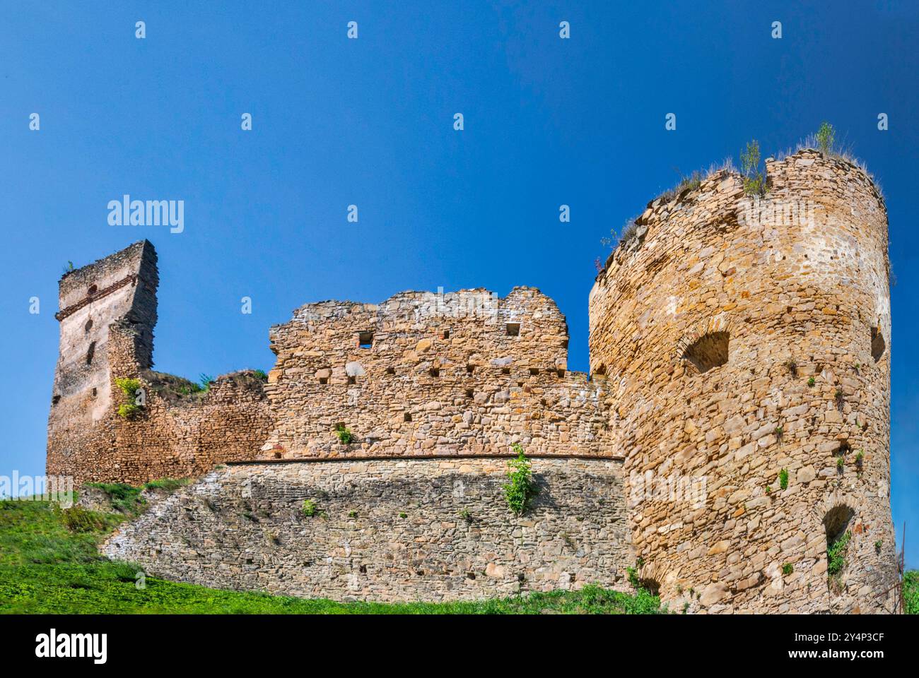 Château de Zborovsky, 13ème siècle, dans la région de Šariš, Low Beskids, Carpates occidentales, région de Presov, Slovaquie Banque D'Images