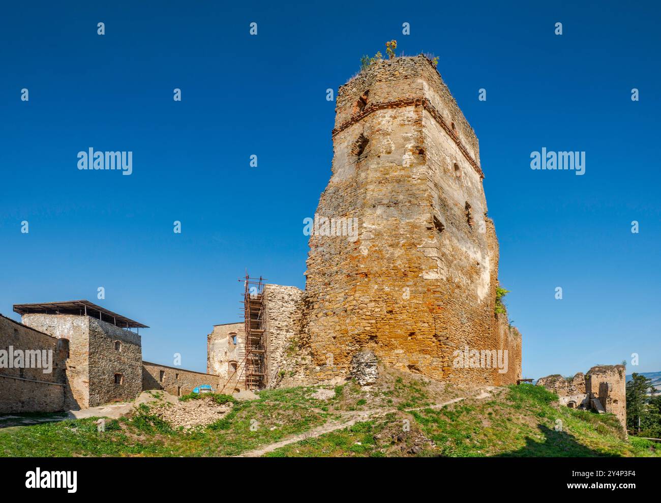 Donjon au château de Zborovsky, XIIIe siècle, dans la région de Šariš, Low Beskids, Carpates occidentales, région de Presov, Slovaquie Banque D'Images