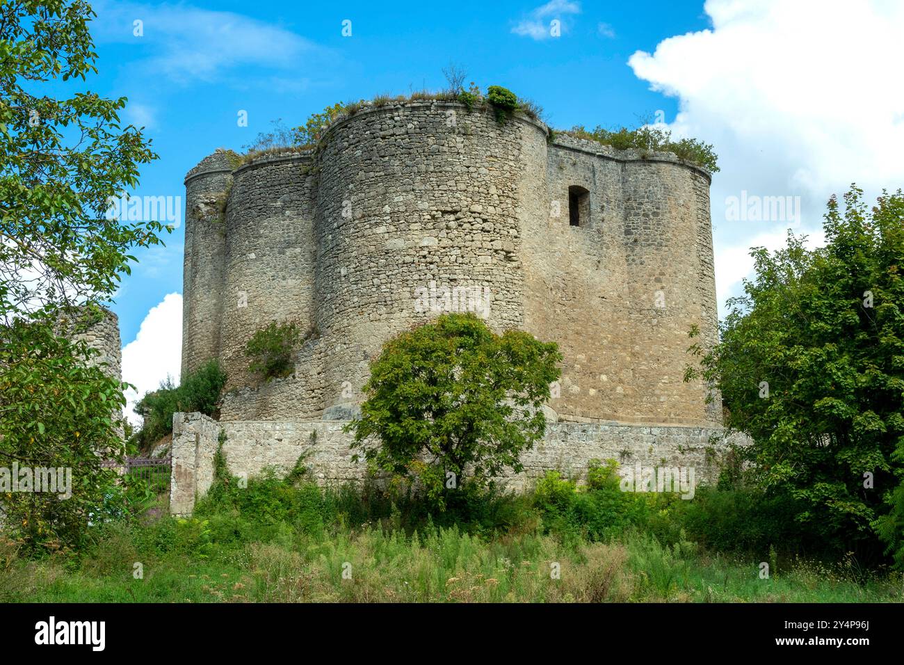Château médiéval du 13ème siècle à Montaigu-le-Blin, présentant des fortifications impressionnantes et la verdure environnante dans l'Allier, Auvergne-Rhône-Alpes, France Banque D'Images