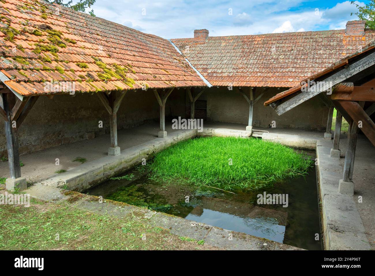 Le lavoir de Montaigu-le-Blin dispose d'un bassin herbeux, Allier. Auvergne-Rhône-Alpes, France. Banque D'Images