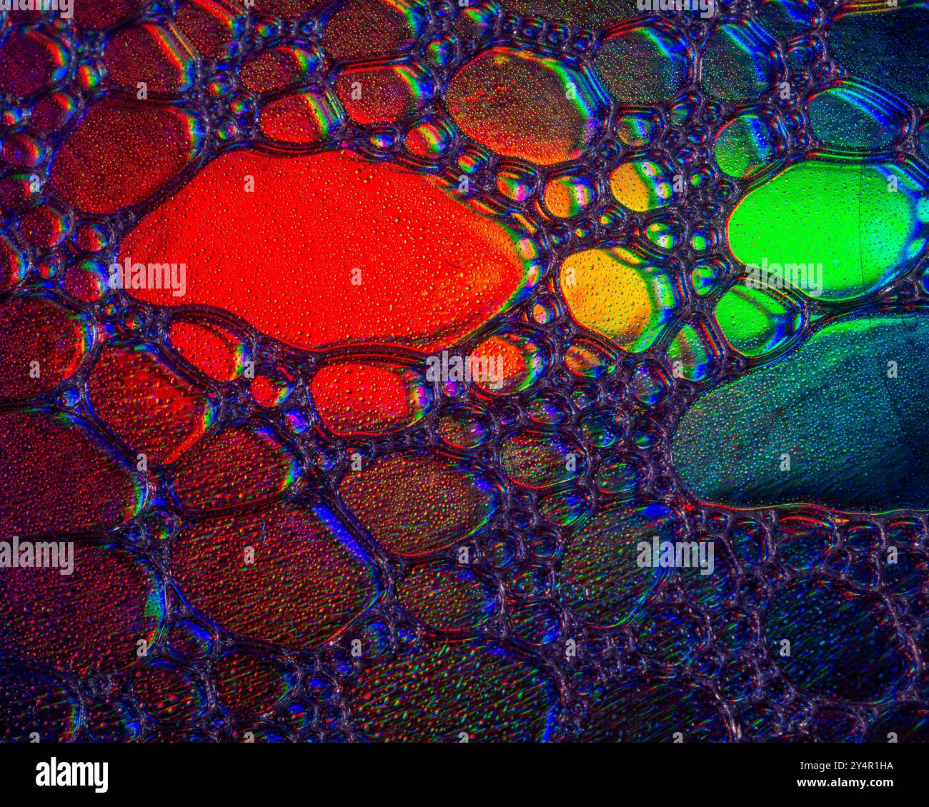 Une photo macro montrant des motifs et des couleurs de gouttes d'huile flottant sur l'eau Banque D'Images