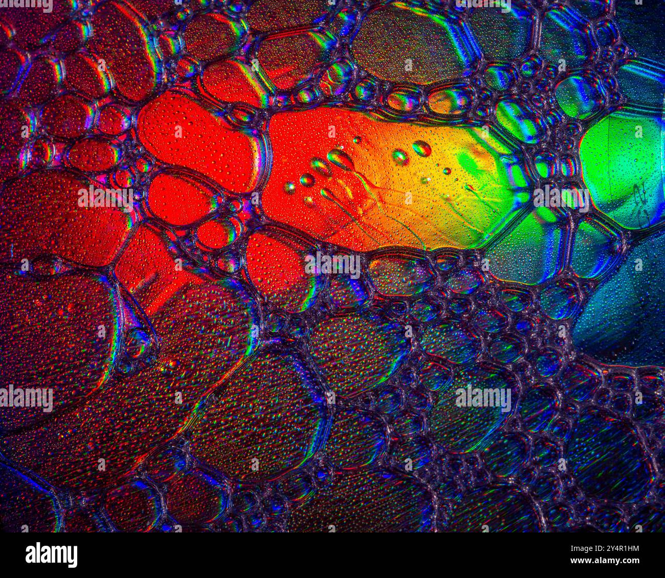 Une photo macro montrant des motifs et des couleurs de gouttes d'huile flottant sur l'eau Banque D'Images