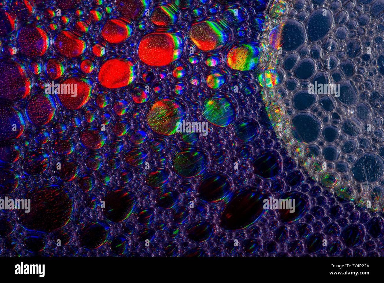 Une photo macro montrant des motifs et des couleurs de gouttes d'huile flottant sur l'eau Banque D'Images