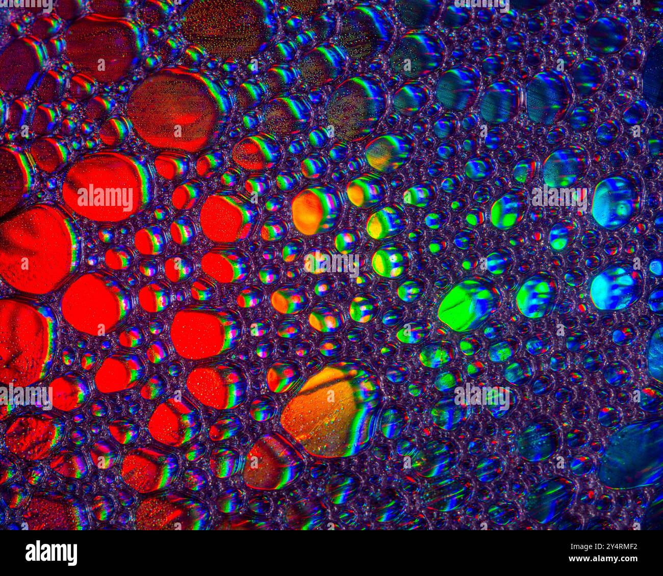 Une photo macro montrant des motifs et des couleurs de gouttes d'huile flottant sur l'eau Banque D'Images