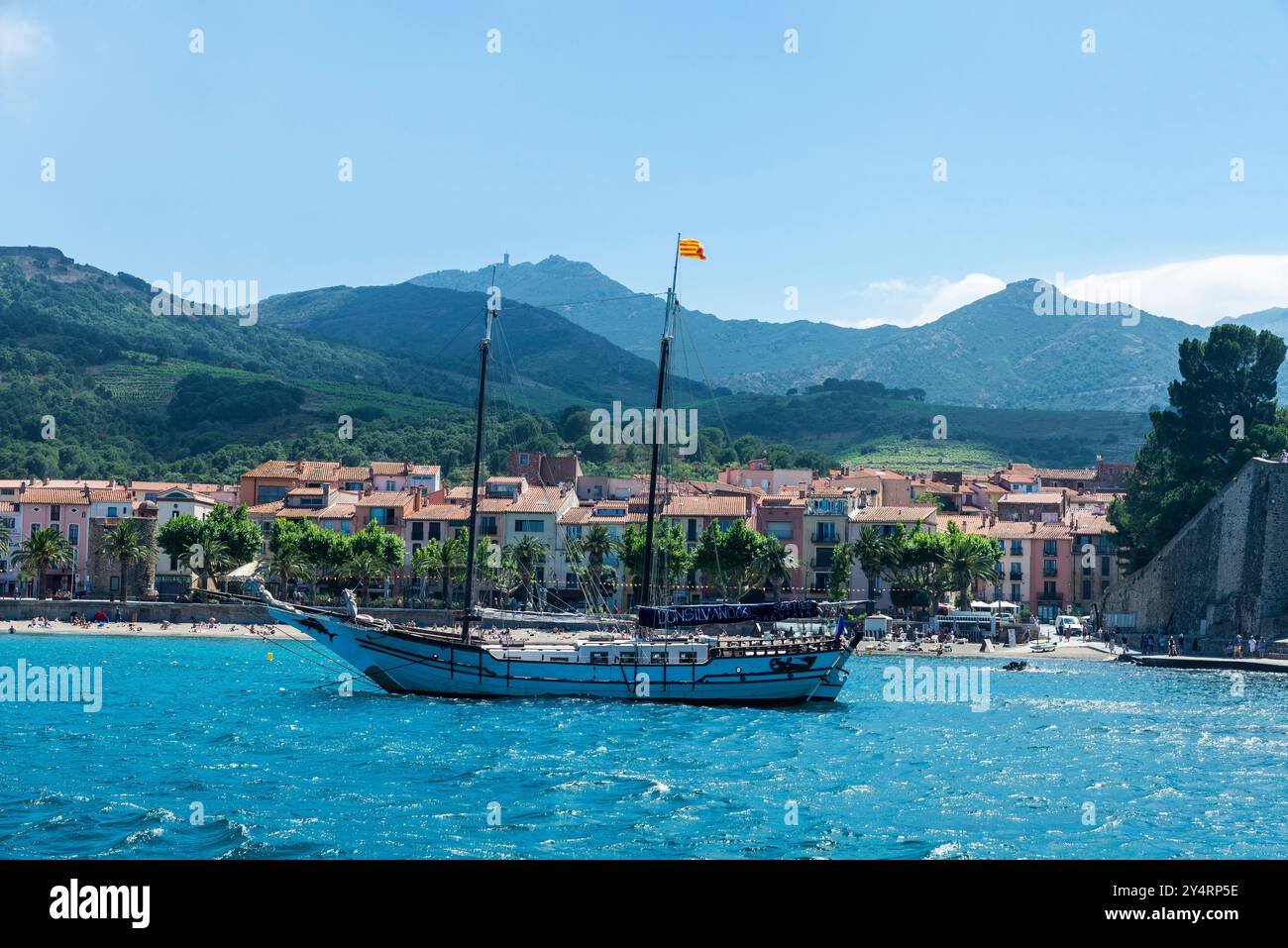 Collioure, France - 17 juin 2024 : voilier naviguant devant la plage de Collioure ou Cotlliure, village de pêcheurs de France Banque D'Images