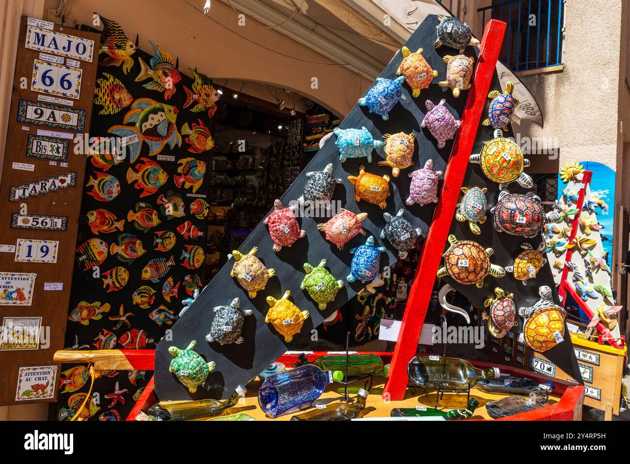 Collioure, France - 17 juin 2024 : exposition d'une boutique de souvenirs avec des poissons en céramique colorés et des tortues dans une rue commerçante de Collioure ou Cotlliure, F. Banque D'Images