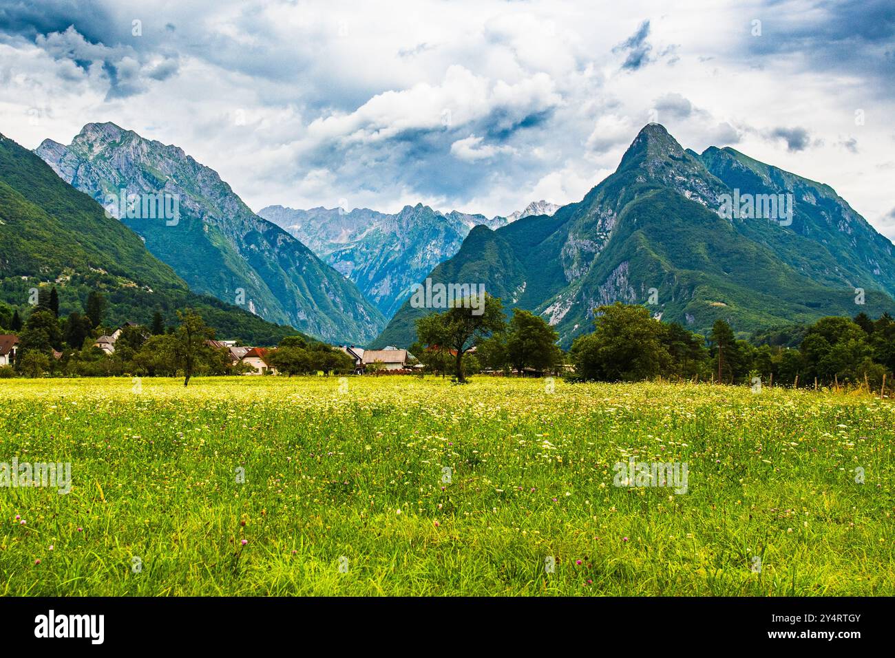 TARVISIO, ITALIE – 23 JUILLET 2024 : ancienne forêt de Tarvisio, avec des arbres centenaires et un environnement naturel luxuriant et intact qui met en valeur t Banque D'Images