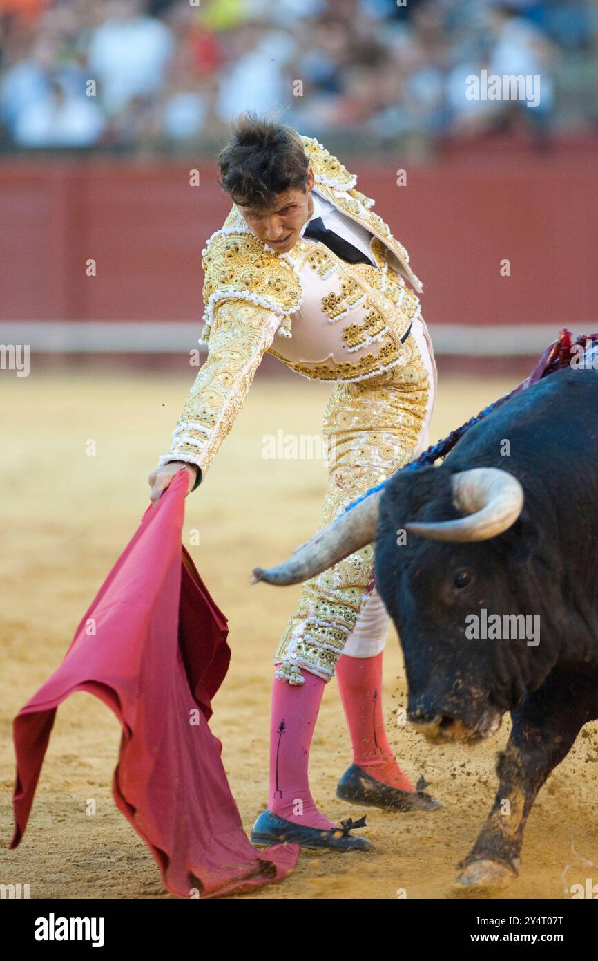 Séville, Espagne, 15 août 2008, César Girón démontre son talent avec une série de passes droitières dans la Real Maestranza de Caballería, Séville. Banque D'Images