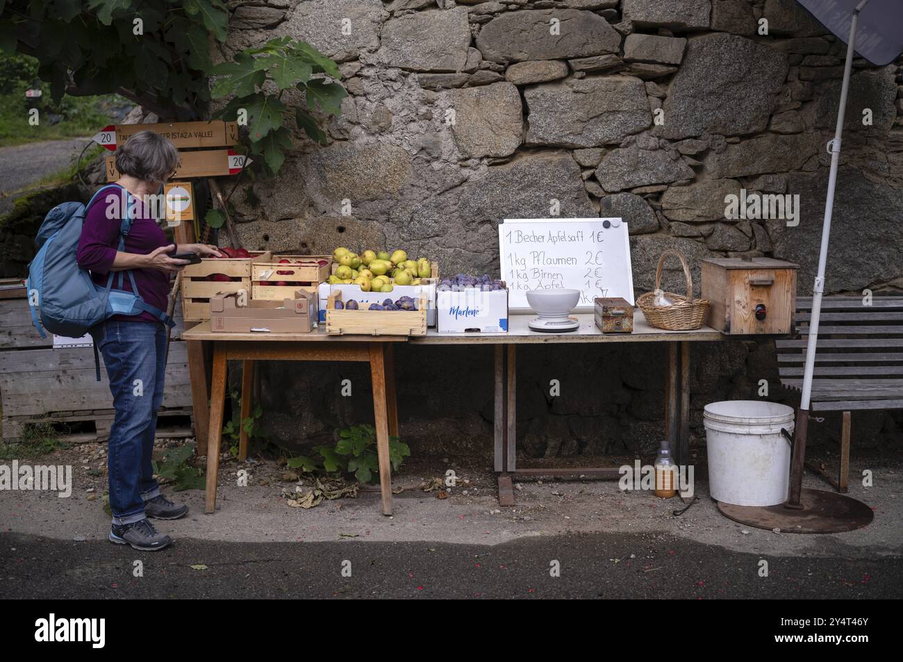 Femme âgée, meilleur ager, sélectionne des fruits, libre-service, magasin de ferme, Schenna, Scena, Tyrol du Sud, Province autonome de Bolzano, Italie, Europe Banque D'Images