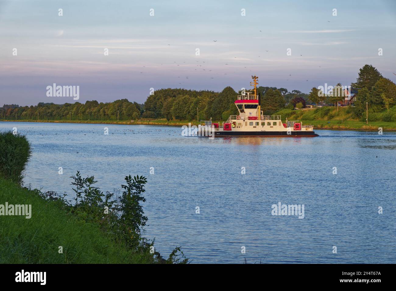 Le ferry du canal de Pillau au au terminal de ferry Sehestedt sur le canal de Kiel. Sehestedt, Schleswig-Holstein, Allemagne, Europe Banque D'Images