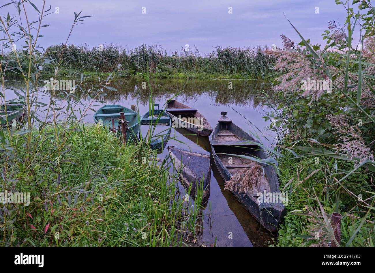 Bateau de pêche sur une branche de la Narew dans le parc national de Narew dans le nord-est de la Pologne. Waniewo, Podlaskie, Pologne, Europe Banque D'Images