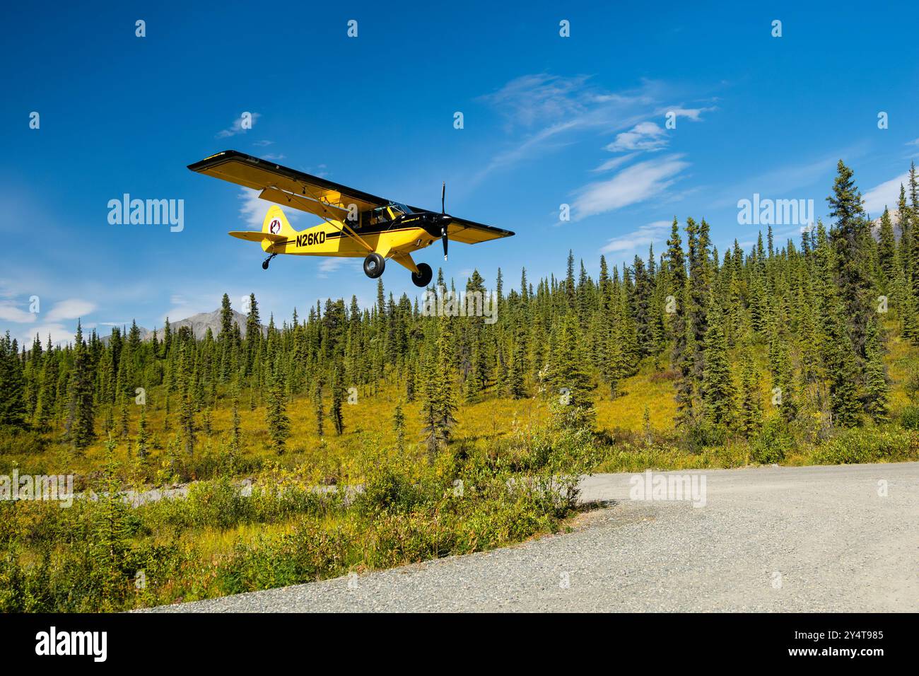 Piper Super Cub atterrissant sur une piste d'atterrissage en herbe le long de Nebesna Road à Wrangell-équipés Elias NP en Alaska. Banque D'Images
